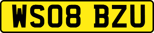 WS08BZU