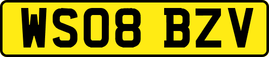 WS08BZV