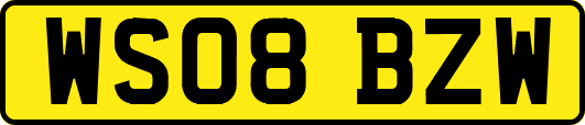 WS08BZW