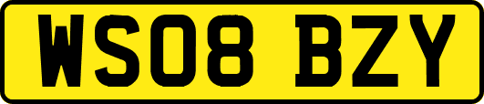 WS08BZY