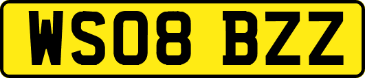 WS08BZZ