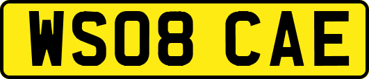 WS08CAE