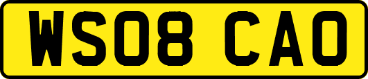 WS08CAO