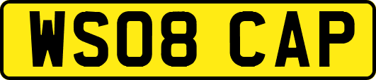 WS08CAP