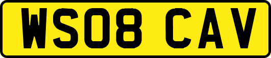 WS08CAV