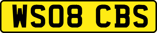 WS08CBS