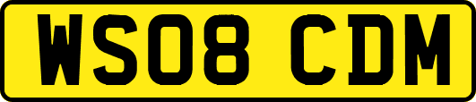 WS08CDM
