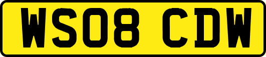 WS08CDW