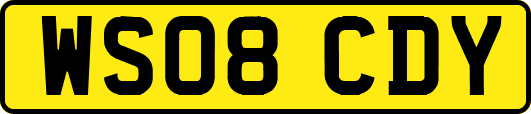 WS08CDY