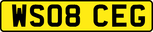 WS08CEG