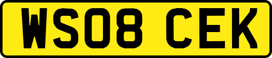 WS08CEK