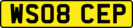 WS08CEP