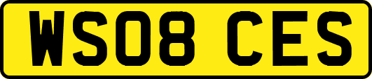 WS08CES