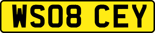 WS08CEY