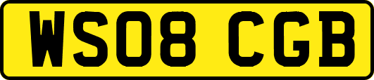 WS08CGB