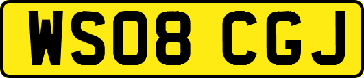 WS08CGJ