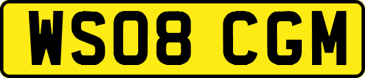 WS08CGM