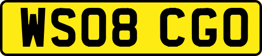 WS08CGO