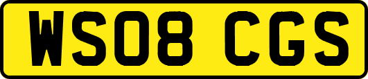 WS08CGS