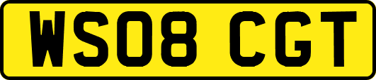 WS08CGT