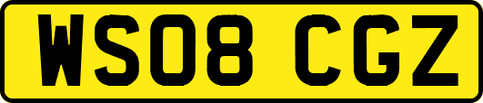 WS08CGZ