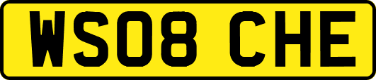 WS08CHE