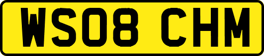 WS08CHM