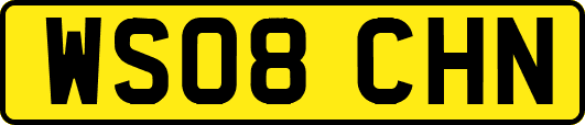 WS08CHN