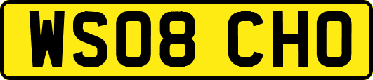 WS08CHO