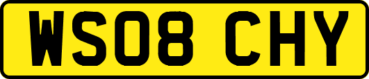 WS08CHY