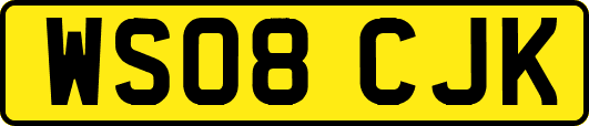 WS08CJK