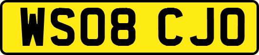 WS08CJO