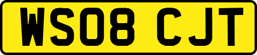WS08CJT