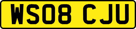 WS08CJU