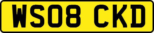 WS08CKD