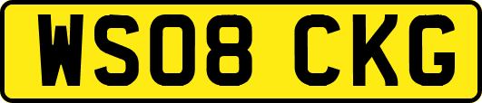 WS08CKG