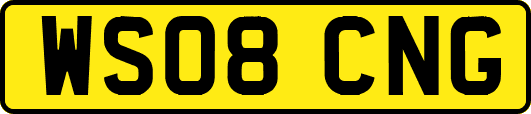 WS08CNG
