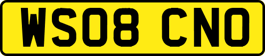 WS08CNO