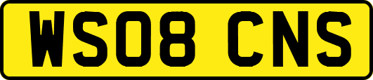 WS08CNS