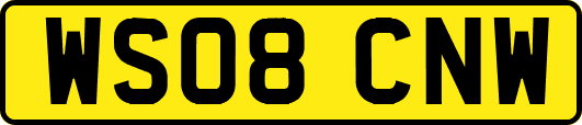 WS08CNW