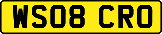 WS08CRO