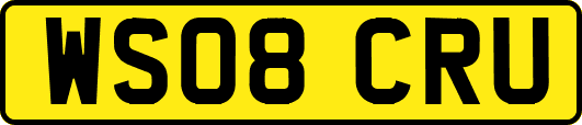WS08CRU