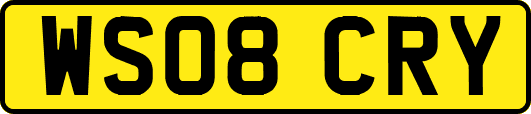 WS08CRY