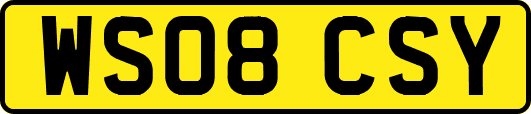 WS08CSY