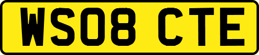 WS08CTE