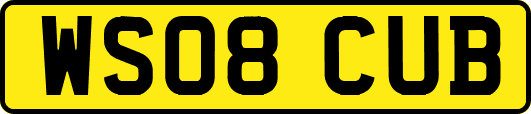 WS08CUB