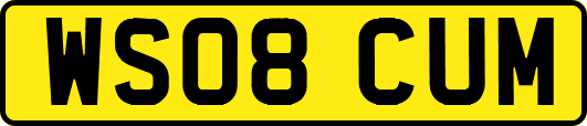 WS08CUM