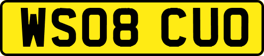 WS08CUO