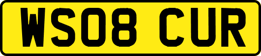 WS08CUR