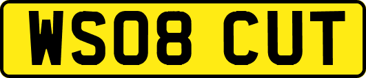 WS08CUT